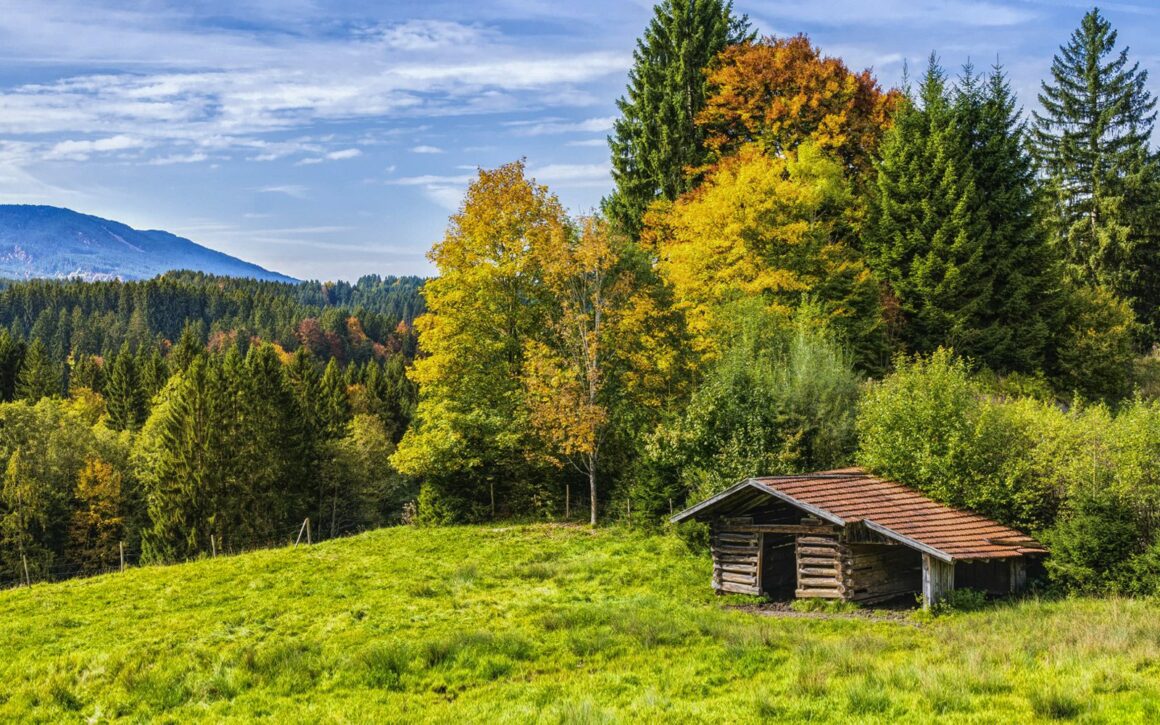 week-end dans les vosges