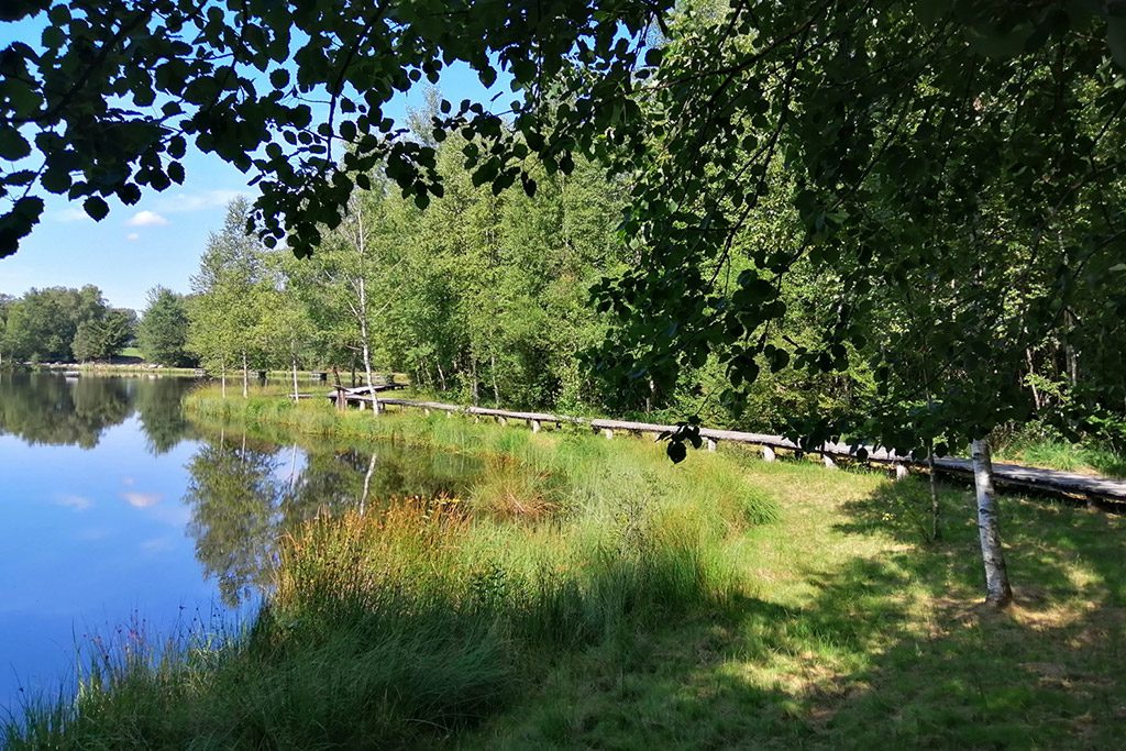 Activités dans les Vosges - Etang de la Pierrache