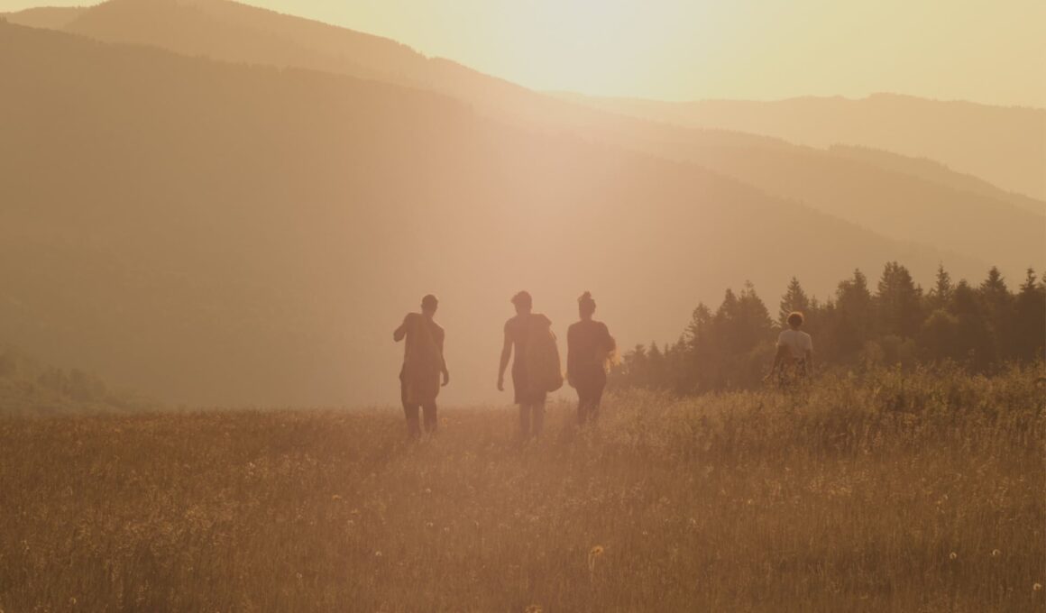 Activités dans les Vosges en été : activités en plein air