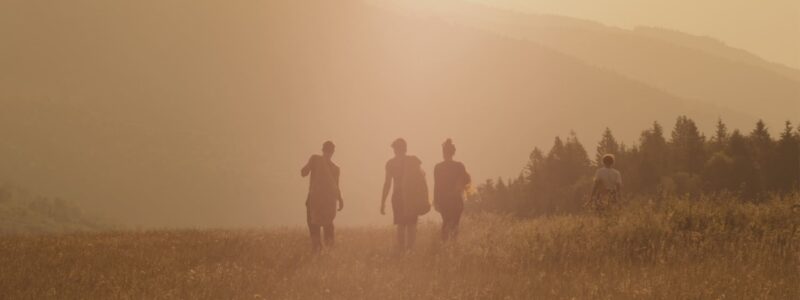 Activités dans les Vosges en été : activités en plein air